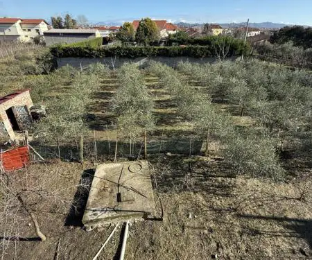 SHITET SHTEPI + TOKE 1300m2
