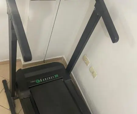 Palester
