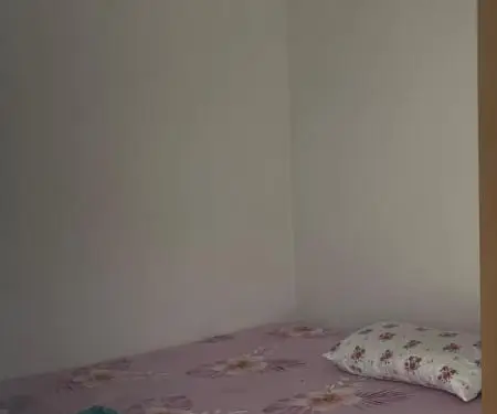 Jepet me qera 1+1 perballe deliorgjit