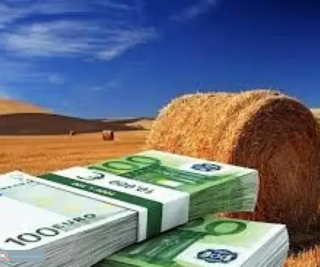 BUSINESS LOANS FINANCING LOAN GLOBAL BUSINESS