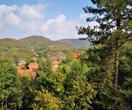 Po shes një shtëpi dhe një familje rurale në vendbanimin Prosek pranë qytetit të Nishit