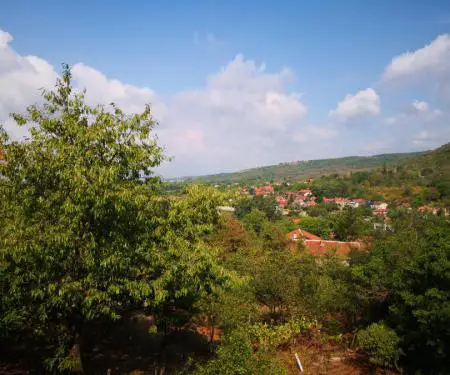 Po shes një shtëpi dhe një familje rurale në vendbanimin Prosek pranë qytetit të Nishit