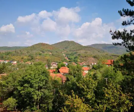 Po shes një shtëpi dhe një familje rurale në vendbanimin Prosek pranë qytetit të Nishit - 6