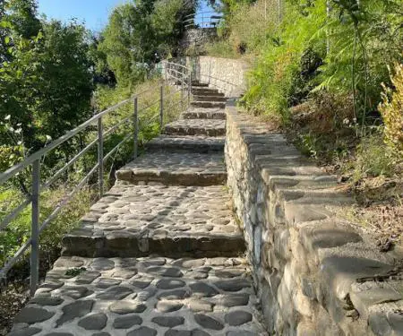 Shitet Toke ne Petrele ngjitur me Zipline Albania