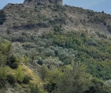 Shitet Toke ne Petrele ngjitur me Zipline Albania - 6