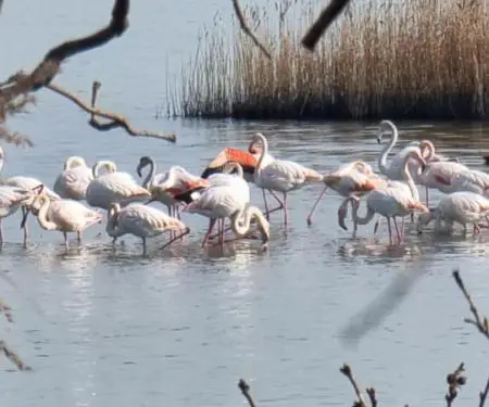 Guide touristique en Albanie - 7