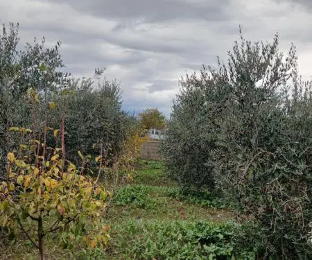 Super Mundësi! Shitet Tokë me një shtëpizë të vogël OKAZION! - 7